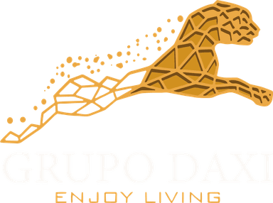 Grupo Daxi